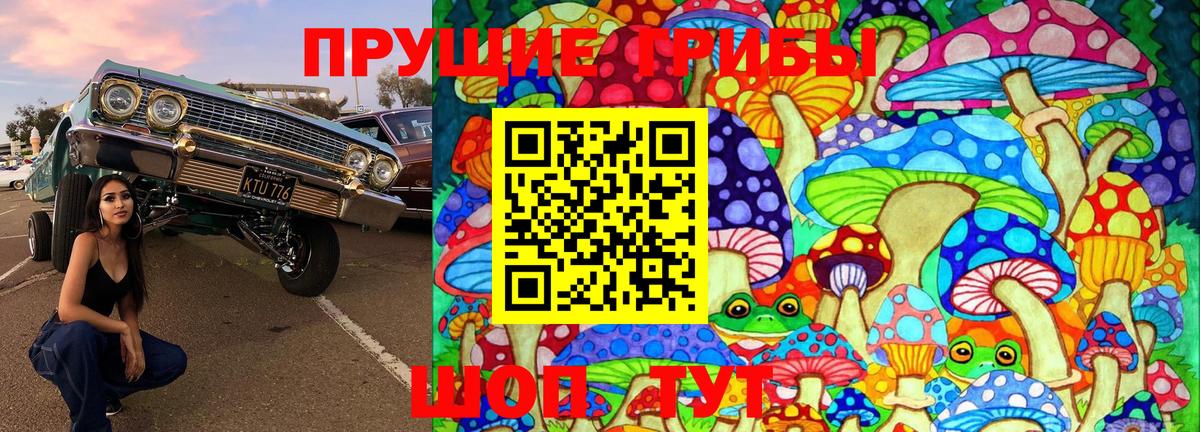 Псилоцибиновые грибы мицелий Азнакаево