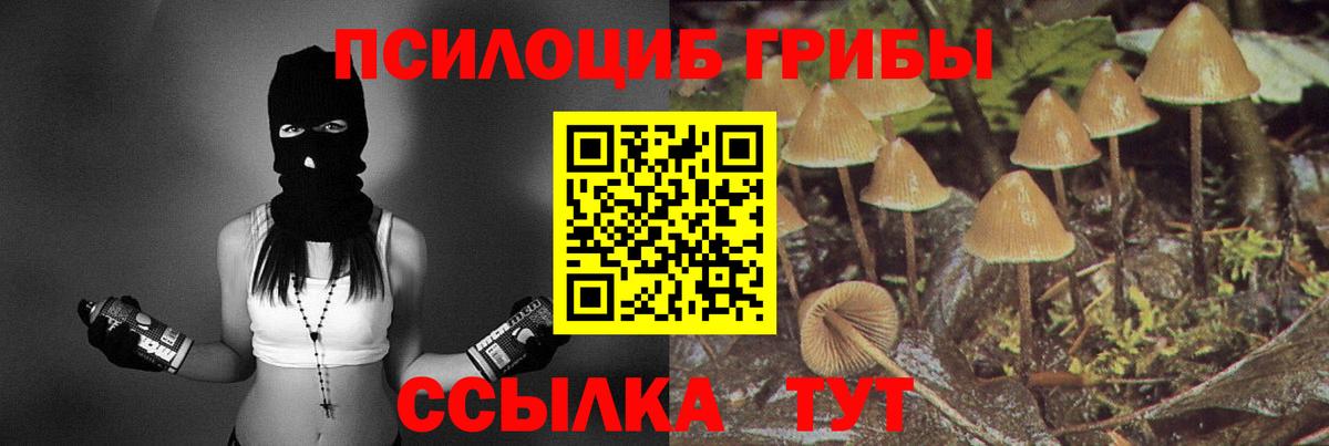 Азнакаево  Псилоцибиновые грибы Psilocybine cubensis  Вход с VPN 